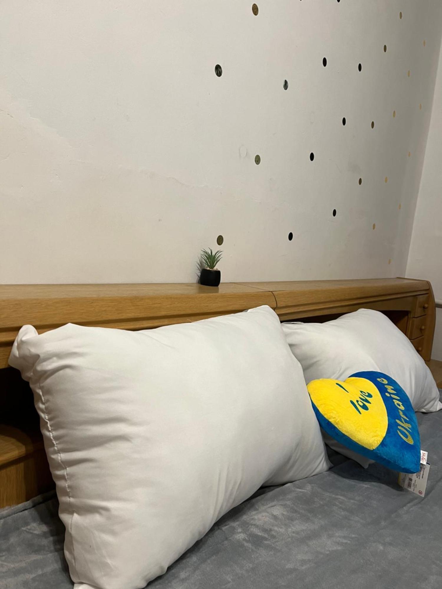 Ararat-Klovskaya Hostel-Apartments Kiev 외부 사진